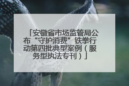 安徽省市场监管局公布“守护消费”铁拳行动第四批典型案例（服务型执法专刊）